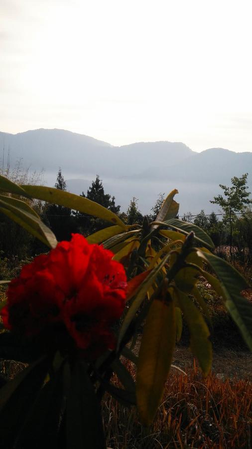 فندق Neora Valley Retreat Rishop المظهر الخارجي الصورة